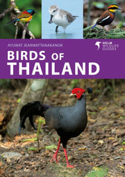 Birds Of Thailand By Jearwattanakanok, A