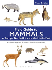 Bns Field Guide To Mammals Of Europ By Aulagnier Stephane