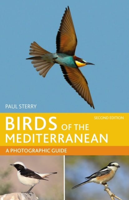 Birds Of The Mediterranean By Sterry, Paul