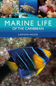 Marine Life Of The Caribbean By Wood, Lawson