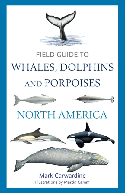 Field Guide/whales Dolphins Porpoises Of By Carwardine, Mark