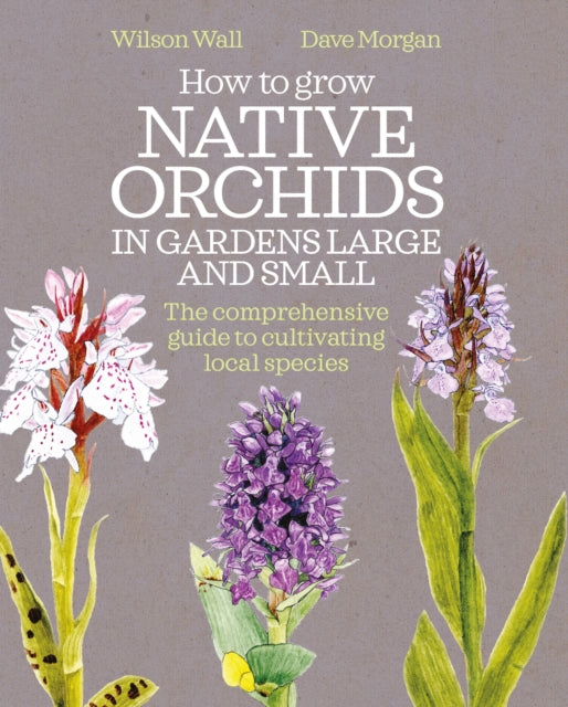 How To Grow Native Orchids In Gardens