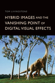 Hybrid Images And The Vanishing Poi By Livingstone  Tom