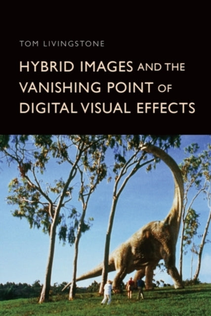 Hybrid Images And The Vanishing Poi By Livingstone  Tom