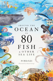 Around The Ocean/80 Fish & Other Sealife