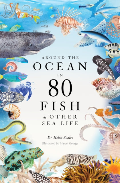 Around The Ocean/80 Fish & Other Sealife
