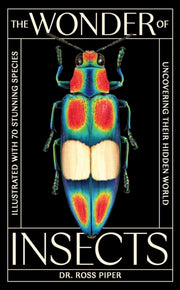Wonder Of Insects