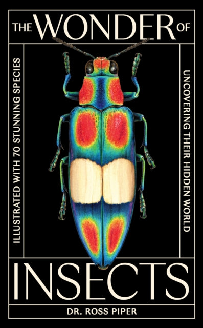Wonder Of Insects