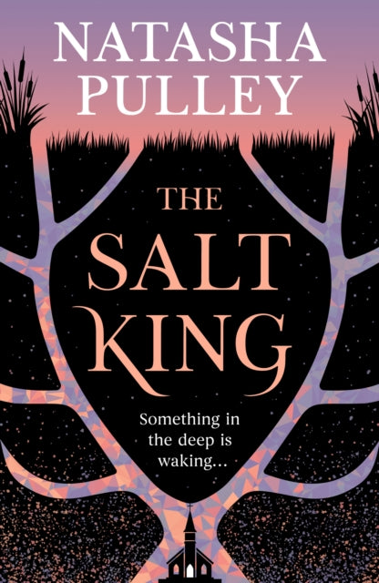 Salt King By Pulley, Natasha