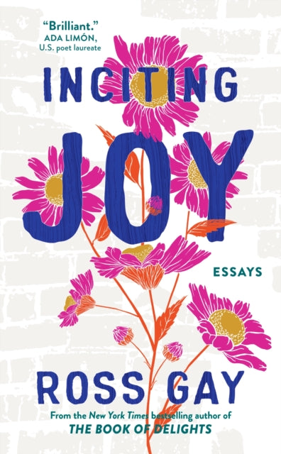 Inciting Joy Essays