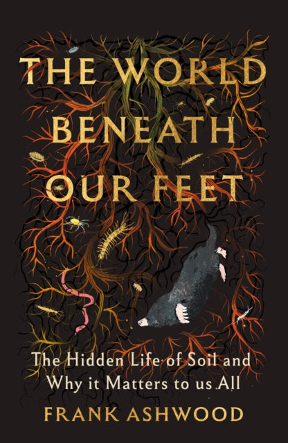 World Beneath Our Feet By Ashwood, Frank
