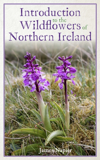 Introduction To The Wildflowers Of North By Napier, James
