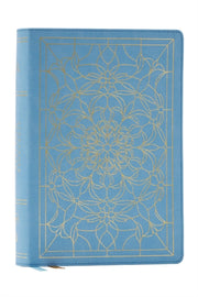 Alexander Maclaren Study Bible Encourage