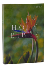 Nrsv Catholic Edition Bible Bird Of Para By Catholic Bible Press