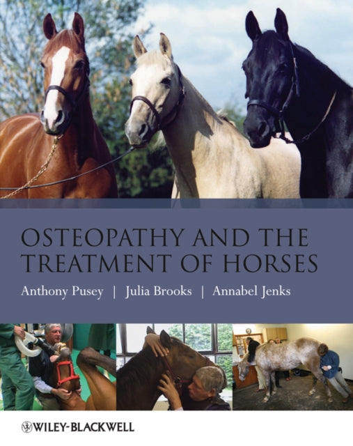 Osteopathy & The Treatment Of Horses By Pusey, Anthony