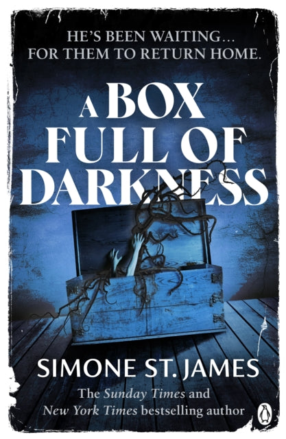 Box Full Of Darkness By James, Simone St