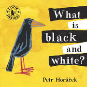 What Is Black And White