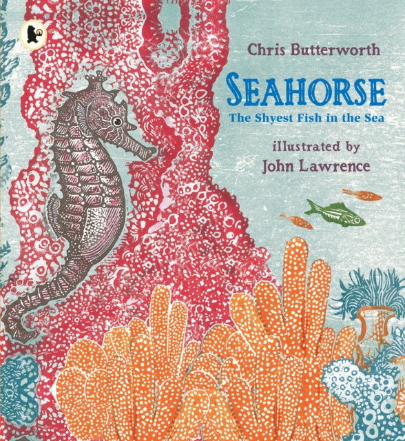 Seahorse The Shyest Fish In The Sea