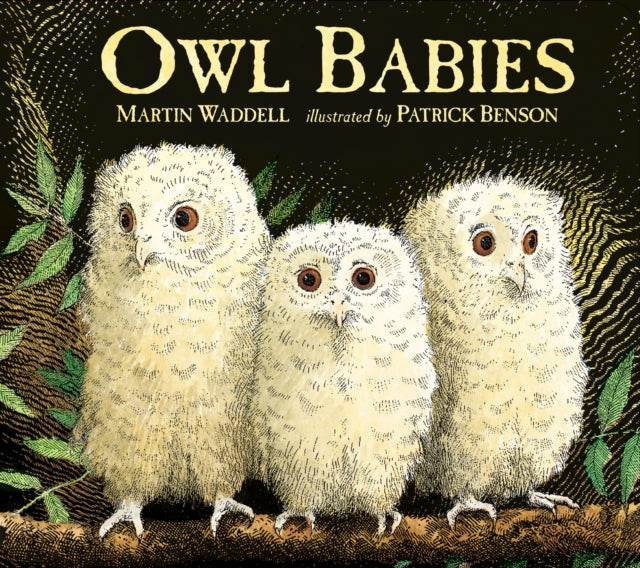 Owl Babies 25th Anniversary Edition