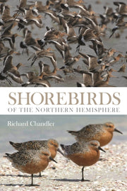 Shorebirds Of The Northern Hemisphere By Chandler Richard