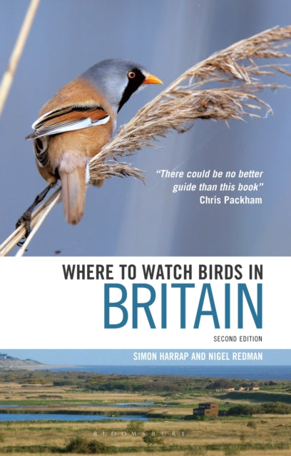 Where To Watch Birds In Britain