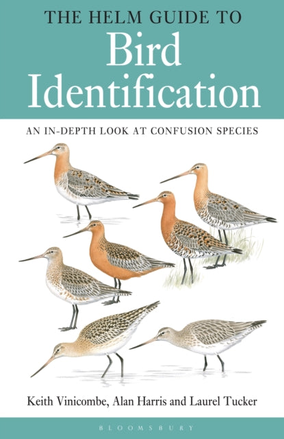 Bird Identification