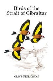 Birds Of The Strait Of Gibraltar