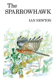 The Sparrowhawk By Ian Newton
