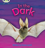 Phonics Bug In The Dark Phase 3