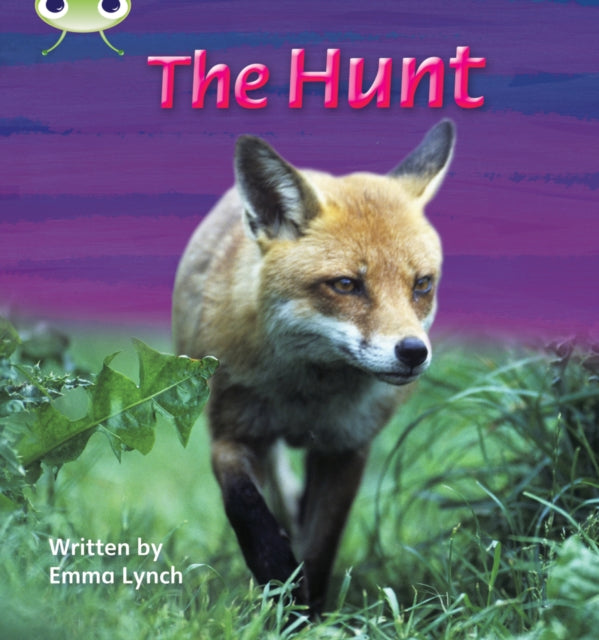 Phonics Bug The Hunt Phase 3