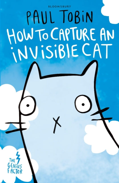 How To Capture An Invisible Cat