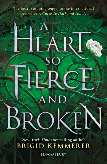 Heart So Fierce & Broken