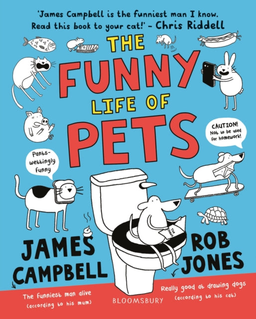 Funny Life Of Pets