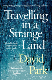 Travelling In A Strange Land