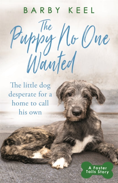 Puppy No One Wanted