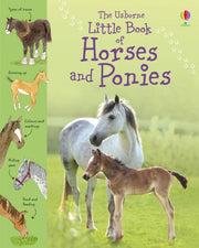Little Book Of Horses & Ponies By Kahn, Sarah