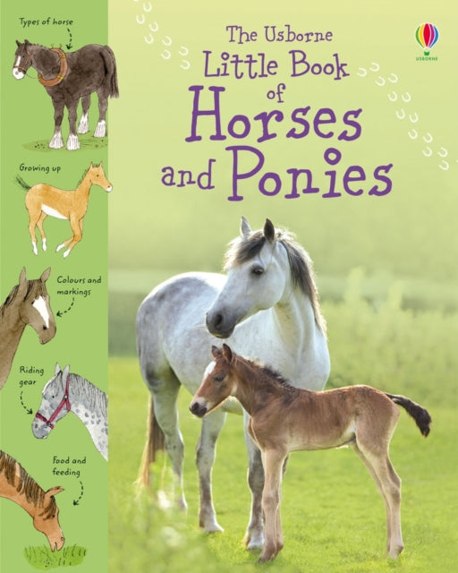 Little Book Of Horses & Ponies By Kahn, Sarah