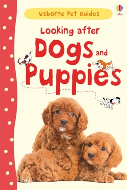 Looking After Dogs & Puppies