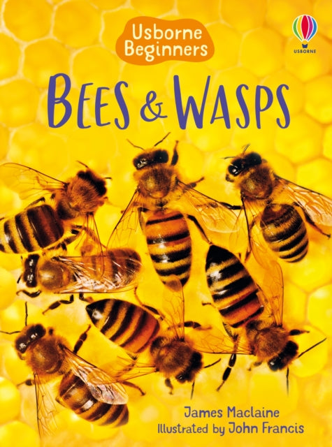 Bees & Wasps