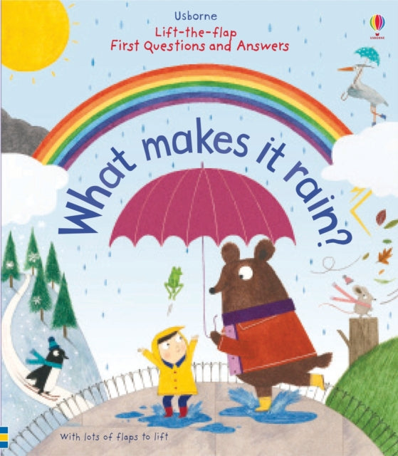What Makes It Rain Lift The Flap Book