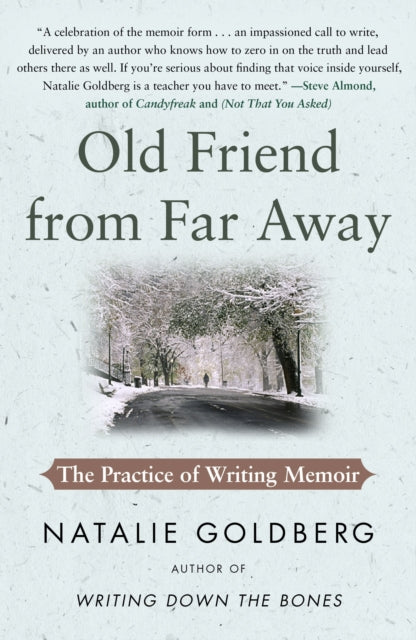 Old Friend From Far Away By Goldberg Natalie