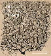 Beautiful Brain/santiago Ramon Y Cajal