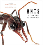 Ants Workers Of The World By Rice, Eleanor Spicer