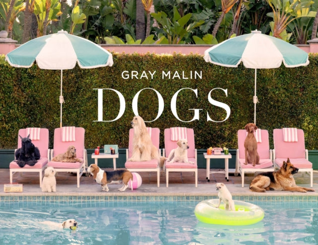 Gray Malin Dogs Photographs