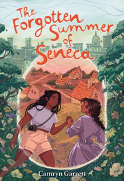 Forgotten Summer Of Seneca A Novel