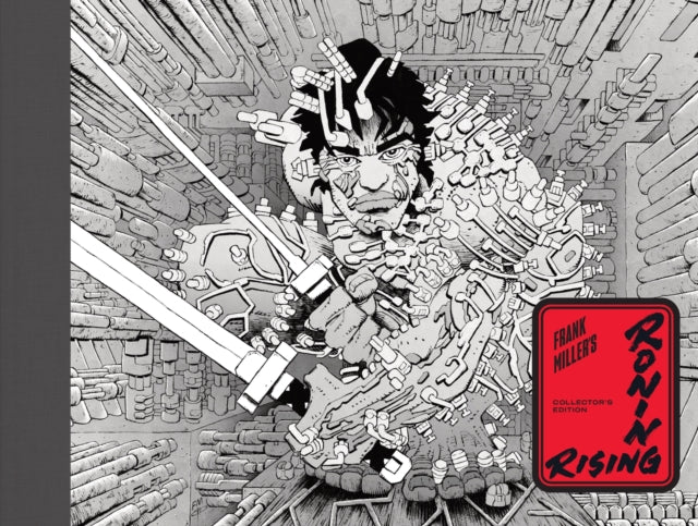 Frank Millers Robin Rising Collectors Ed