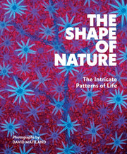 Shape Of Nature