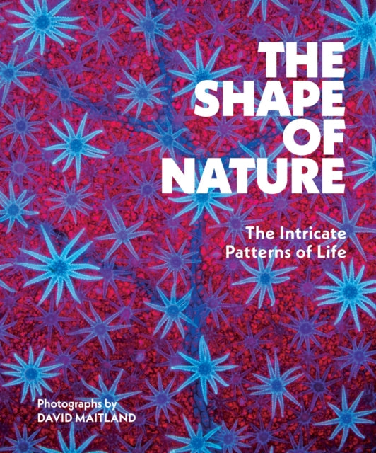 Shape Of Nature