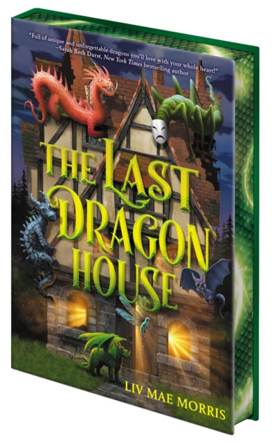 The Last Dragon House A Novel