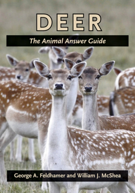 Deer The Animal Answer Guide